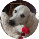 Kaye WATTS profile picture